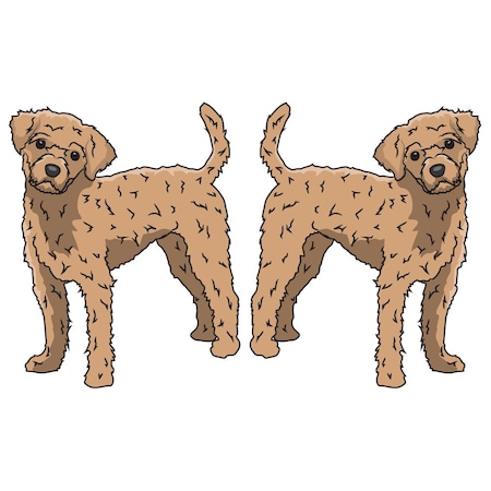 Signmission Maltipoo Dog Decal, Dog Lover Decor Vinyl Sticker D-18-Maltipoo